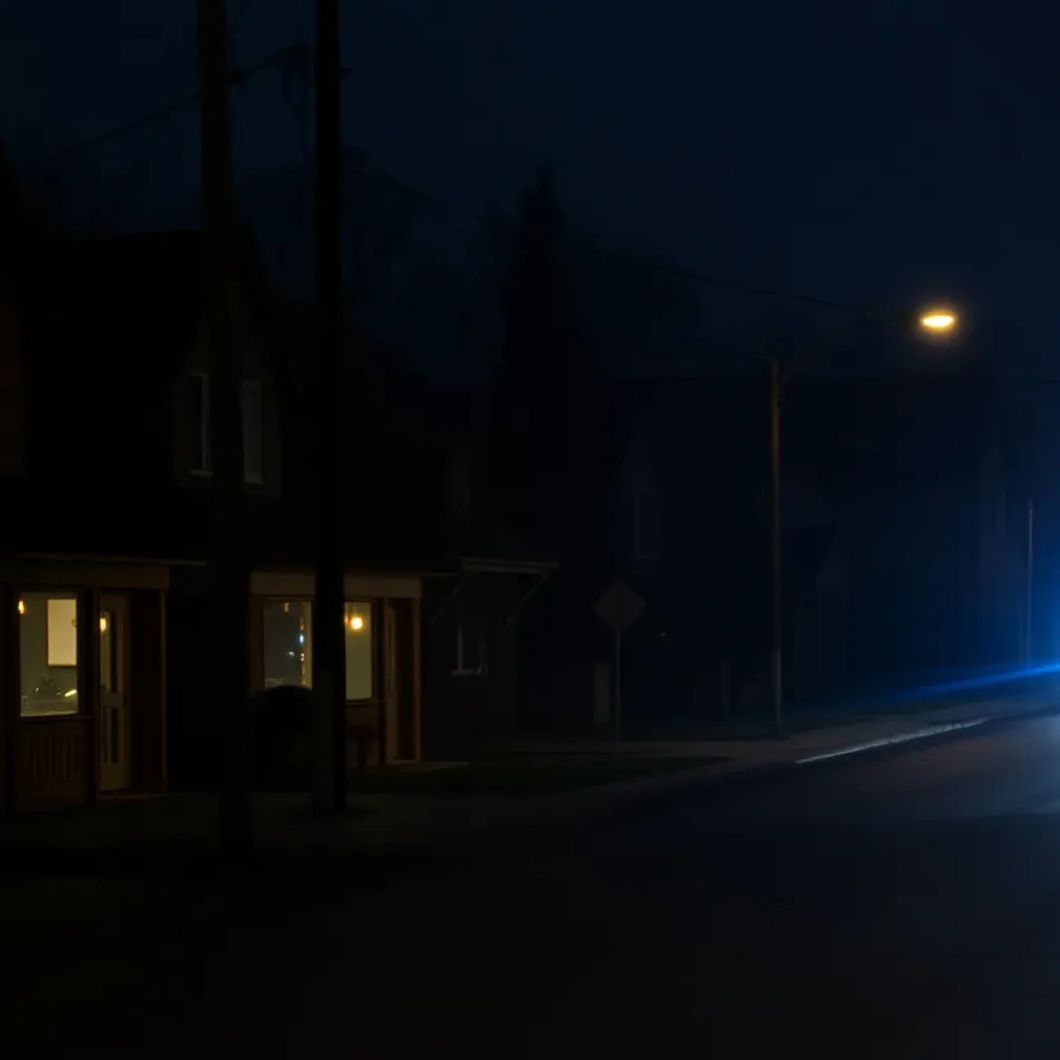 Police lights at night in a small town