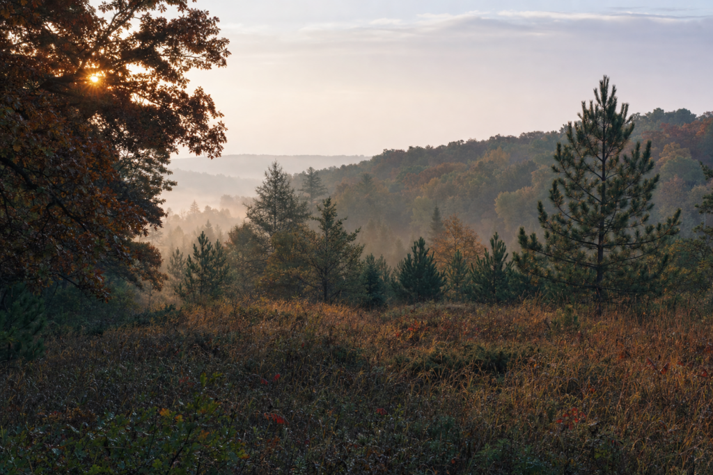 Minnesota moves to lock in lead-free hunting at Keystone Woods
