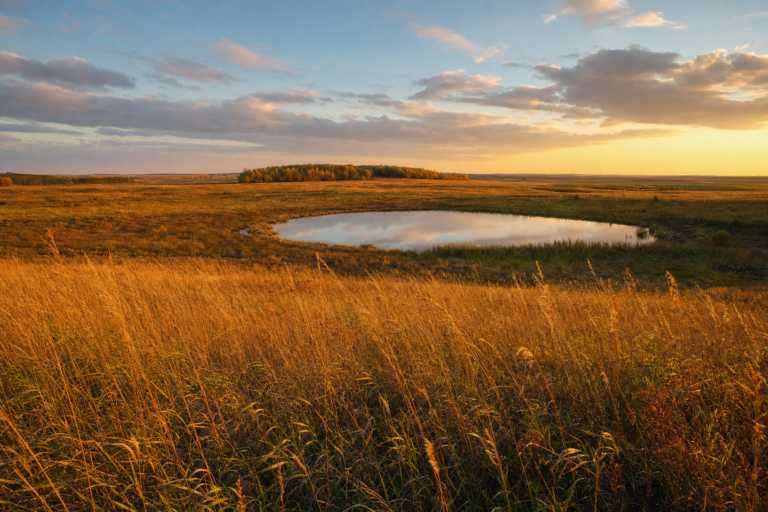 Minnesota's pheasant index jumps 20%; west central up 74%