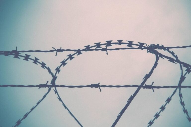 FCC Vote Could Let SC Prisons Jam Contraband Cellphones